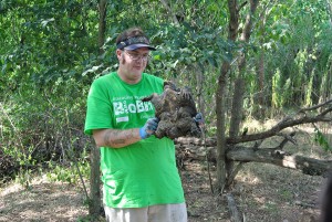 BioBlitz