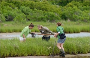 BioBlitz