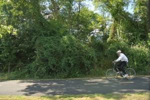 New Springville Greenway