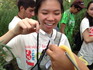 Citizen Science