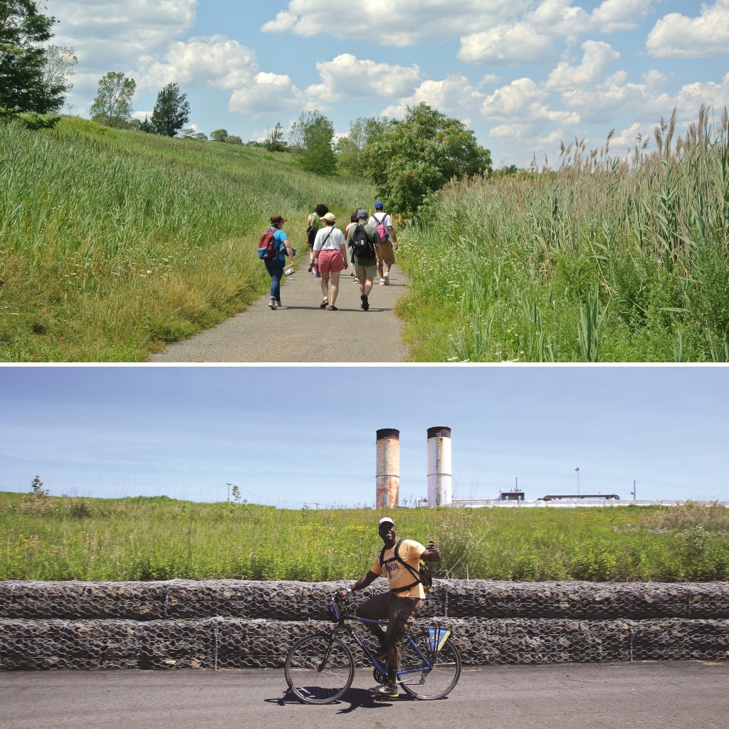 How to Discover Freshkills Park