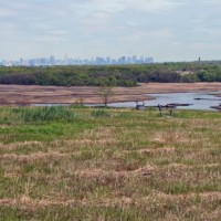 Freshkills 2009