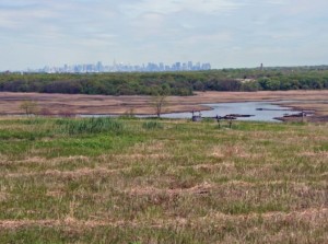 Freshkills 2009