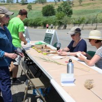 Artist Susan Mills leads a bookmaking workshop using paper she made from phragmites, an invasive weed at the park. (Photo: Michael Anton, DSNY)