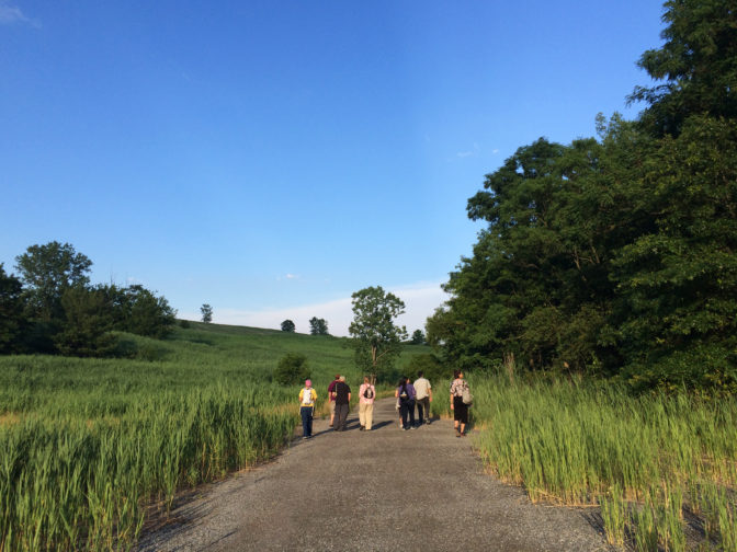 Inside the Bird Chorus