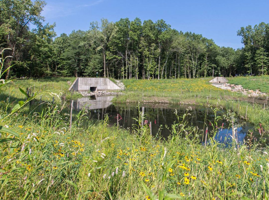 The Staten Island Bluebelt Expands Again - Freshkills Park