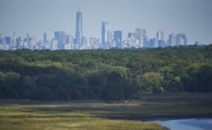 Freshkills 2017