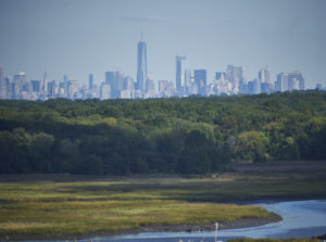 Freshkills Park