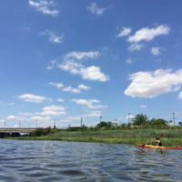 Kayaking with Kayak Staten Island, July 2017.