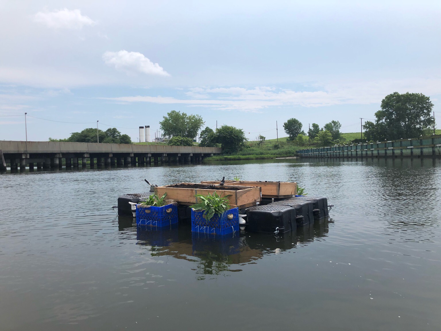 Living Dock Freshkills Park