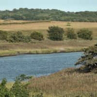 Freshkills Park