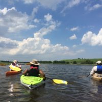 Kayak Tour