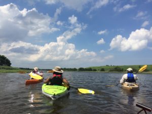 Kayak Tour