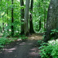 Greenbelt Nature Walk