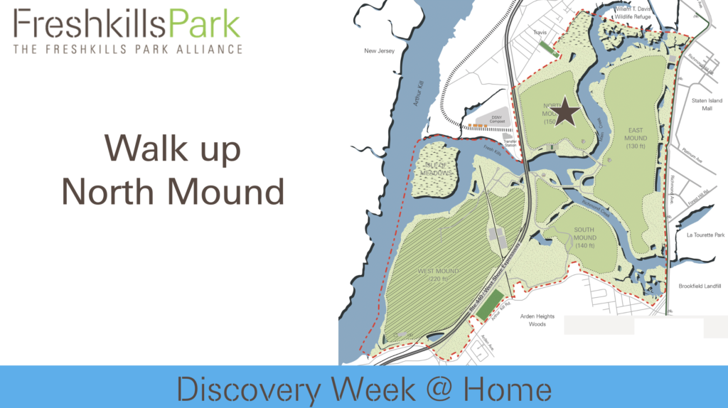 Walk up North Mound Freshkills Park