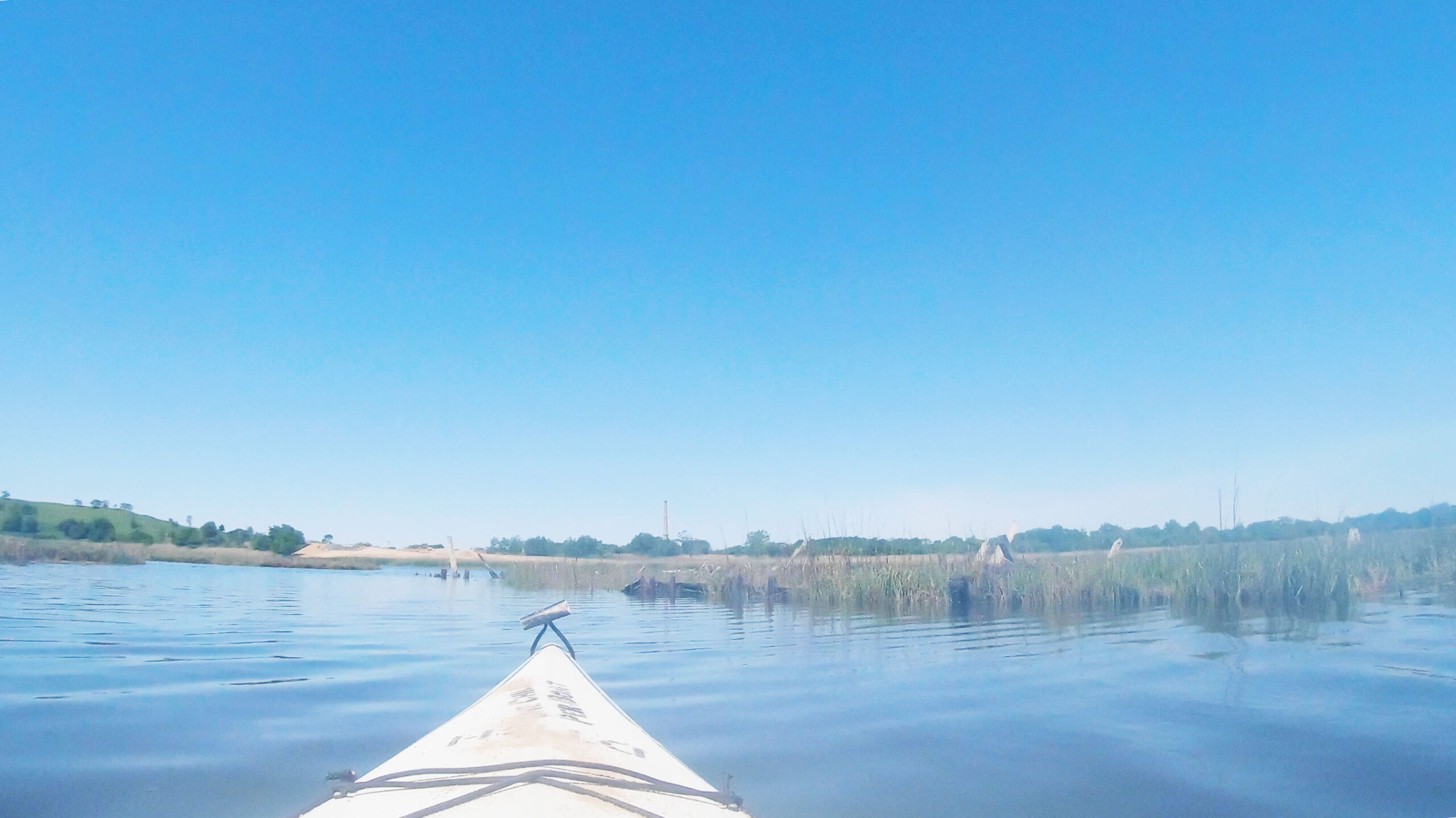 Virtual Kayak Trip Freshkills Park