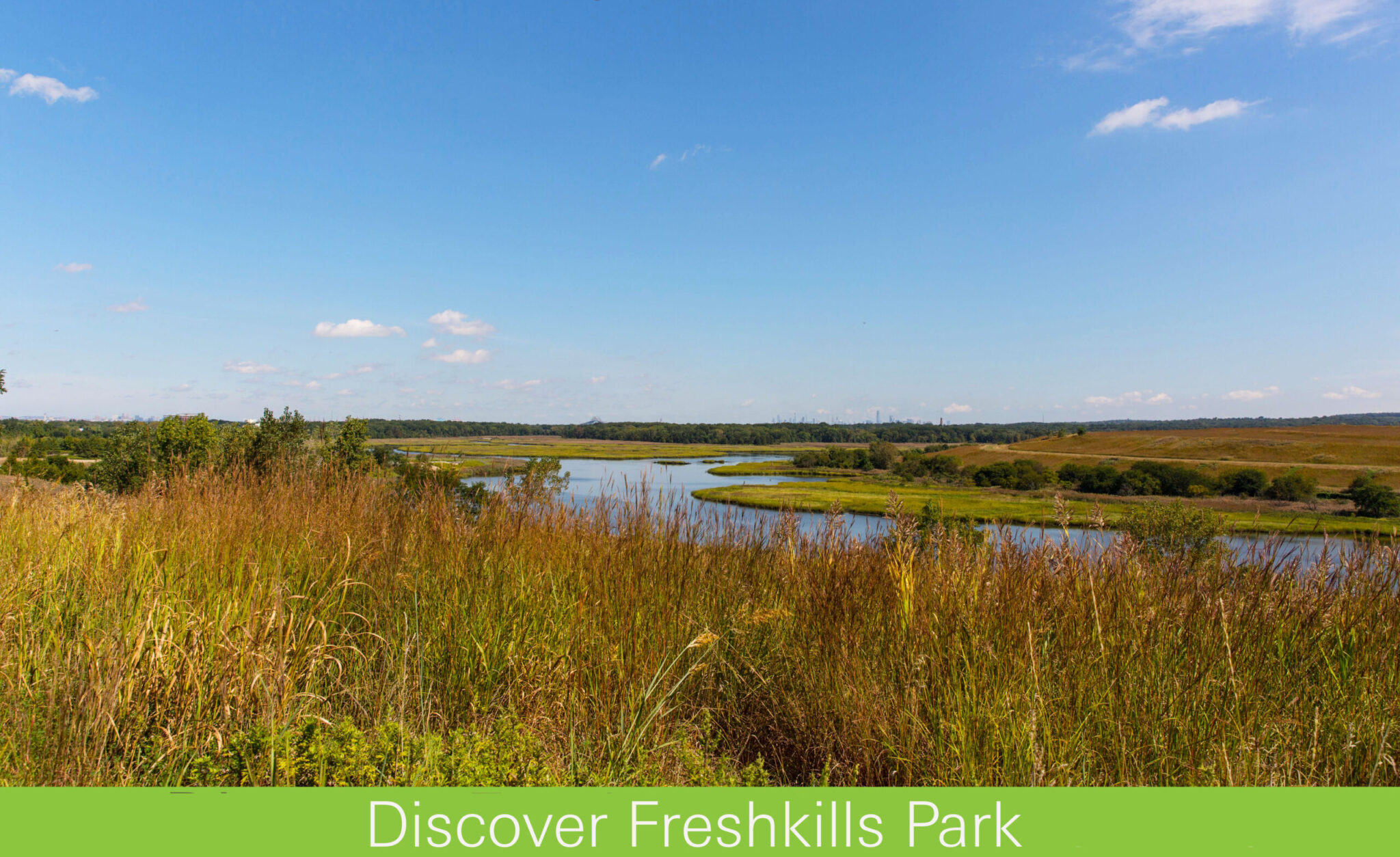 Discover Freshkills Park @ Home - Freshkills Park