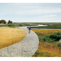 Biker and Wetland