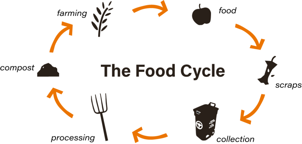 Food life-cycle phases starting from food waste.