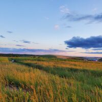 A photo of Freshkills' grassland with a pastel sky.