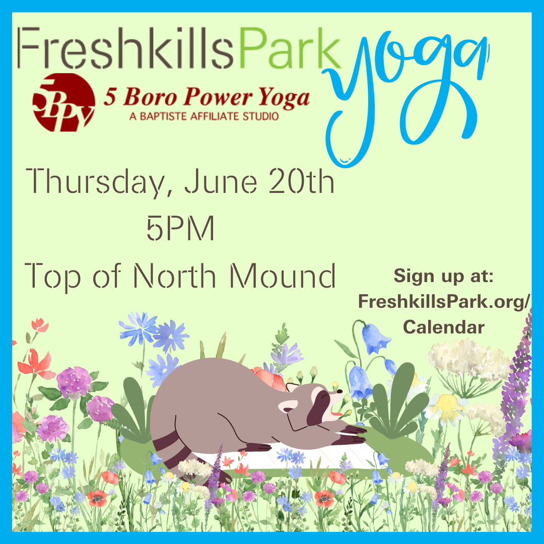 Yoga on North Mound Freshkills Park