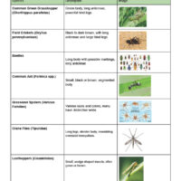 1753813176967-e0e1f1e8-91ab-4828-8431-c92afa02dff6_2