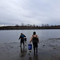 Hands-on Water Quality Analysis