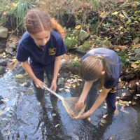 Hands-On-Science
