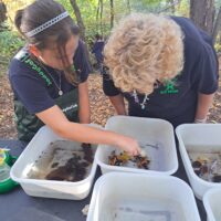 Analyzing Discoveries with Ms. Mary Lee
