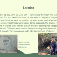 Screenshot 2025-08-06 101724