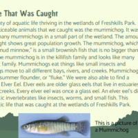 Screenshot 2025-08-06 101738