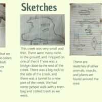 Screenshot 2025-08-06 101757