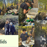 Screenshot 2025-08-06 101817