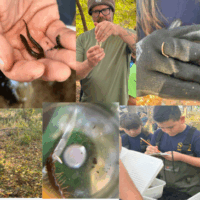 Screenshot 2025-08-06 101841