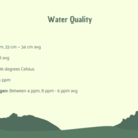 Screenshot 2025-08-06 101922