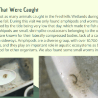 Screenshot 2025-08-06 101937