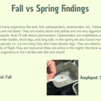 Screenshot 2025-08-06 102035