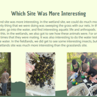 Screenshot 2025-08-06 102054