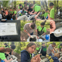 Screenshot 2025-08-06 102123