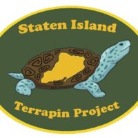 terrapin logo no background (1)